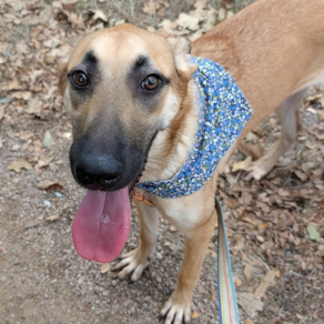 8030f24272d6492ea51e1c6c3aa22b20