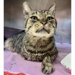 81d766439a0a1417200d8e9d75bbd70c