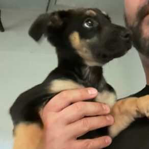 820a19a57edca13b3c726e655a8ac7ea