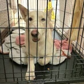 8274484342682042774637be8ced321e