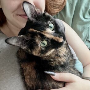 82a372ee609b7d0929bc8e8c6b93b365