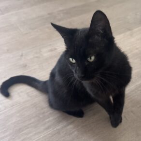 841ba8fd4a9d6e16c22084133c30375b