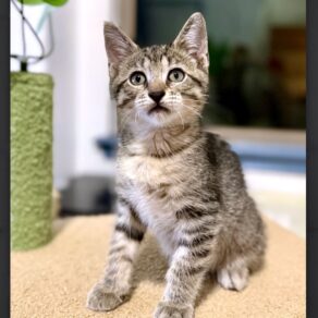 856344ba5688ebeeab34380ffa152d90