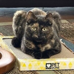 8ae8a7b7108d6051e3c4c92585865943