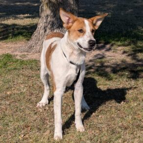 8bf2e3da799bab332865d894506df9e7