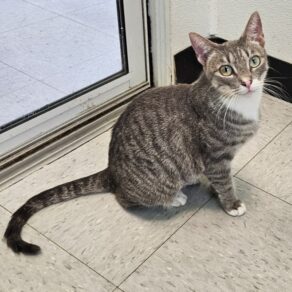 8c433b0af9a4ed5f218c54c2a0ad16c6