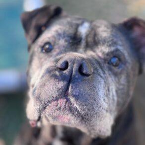 8c65f74c825366426e60060a9ca5868e