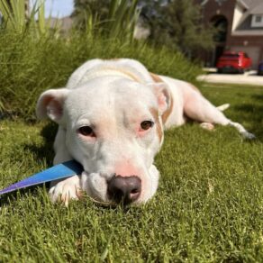 8ce4e24178d64d101f7c83dea25181c6