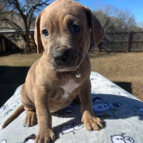 8ce99a3778229e079f3dcb7a70820588