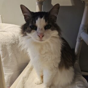 8d1178bcdbb7adbcf2c047ae589bfa35