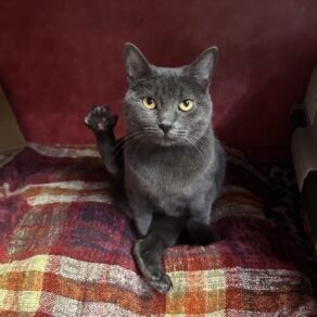 8e563d255b6bfd7fe507375f011dd1ac