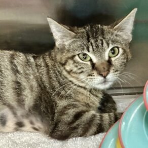 8e8064032715527e5bb3030fddc0b38a