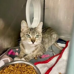 8ecf8cfd57fb1b0703c40a8009829c54