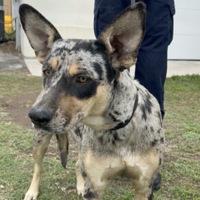 8f8a9b1579b12590f7f75c1a732f61c2