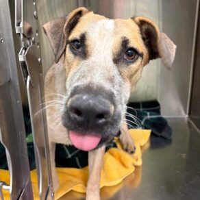 9107a653100340931a668c2e8fac90b1