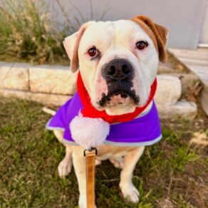 91be9dbb9d409bbe54eb103a5cfe7eef