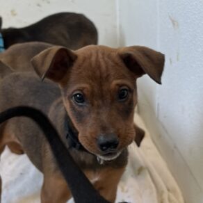 9241e7fbbcd43452cd98484fec965420