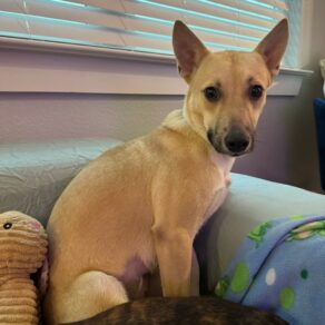 93604795043b4e8bf5e5d103148a1246