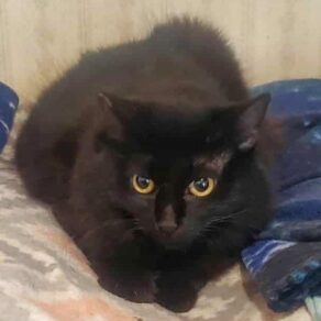 93882e504b9b4cf2a3849687e9d4eeba