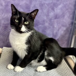 9473ec1fe40b51059740501edbed852b