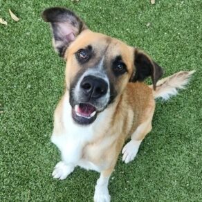 9568c9d9378638f9a715d87e6c7504ce