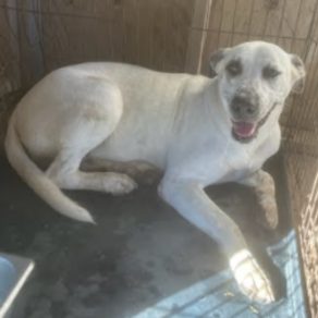 9632e2e1b53442052f1a3a3b404baaaa