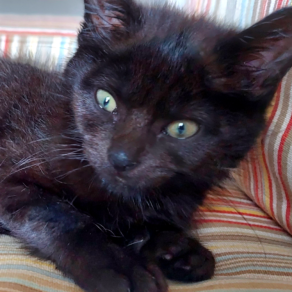 963777b81835e0a1961771955ae63521