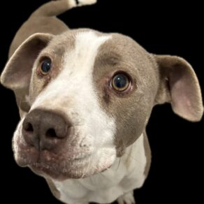 976f84e8bde3340a3854508e09a407dd