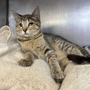 9ad1957bb39a0e031f469db5bb58469a