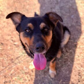 9b13174612acf882fcee636a846b163d