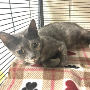 9c3741305ac7f17fcdda35a65609f5c4