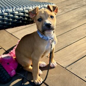 9ca8b644d3a39592524039923f1d1947