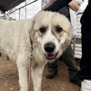 9e0bddb515e87192085765f9e4c2dfdb