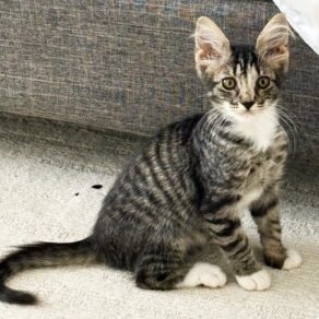 9ef0ad2002762d3a618ecb1ba095bc55