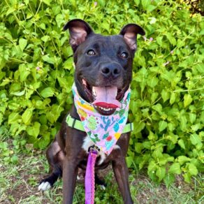 9f2712f3c10e61ee13a35faf2ce23a08