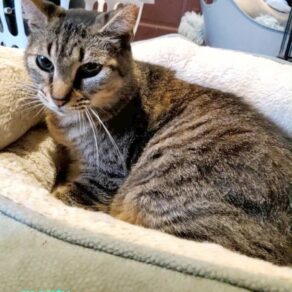 9f2c63bf463f5a00d0e99aad5d80f544