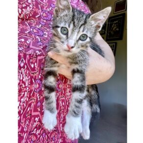 9ff99d546ddd8abf22b06bc354513d7c