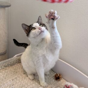 A12a7ec973d5c271154c2937176d0a54