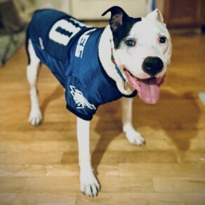 A2c21ef1b3c090aaadb749091a4d6f6b