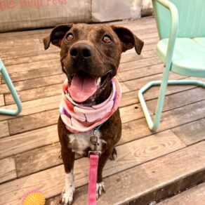 A3e54b3ae91355e49f6dea3bed1e9ab4