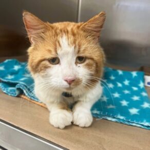 A7e05fdf04d151bcb343dbbea37b917a