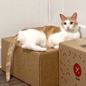 A889878da644dee7a0d53ad5f8daa03d