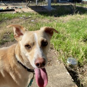 A978e0d1becc425fe6df78d84349c570