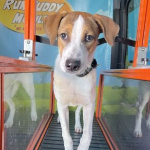 Aa1cbcb5bdb67c23cb9689d0dccdda28