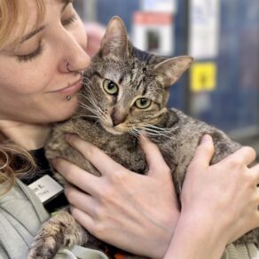 Aac8c3d02e8b08f00a7b336a10194621