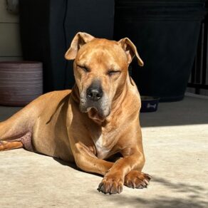 Ab3d076059a575fd58778c5e10331ee0