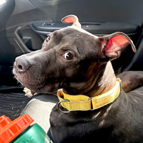 Ab61f45709be1e123d184a07a067c2b4