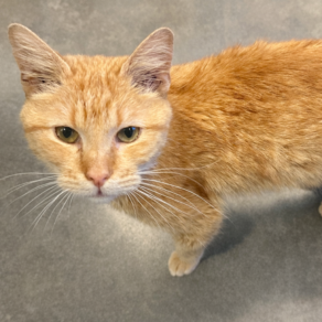 Ae35a518bbd6a75733d7687c2a6475ce