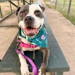 Afbfd0838f896236a4952557cd7f2574