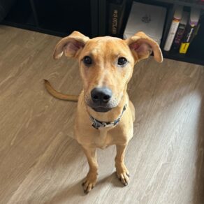 B2529f269ec72c93ea570862cf9b8444